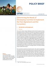 Determining the Needs of Developing Countries to Implement the Paris Agreement and the Convention