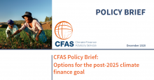 Cover CFAS Policy Brief - Options for the post-2025 climate finance goal