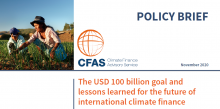 Cover CFAS Policy Brief 2020 - The USD 100 billion goal and lessons learned 